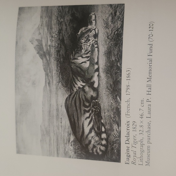 The Art Museum Princeton University Hardcover Book - Picture 7 of 16